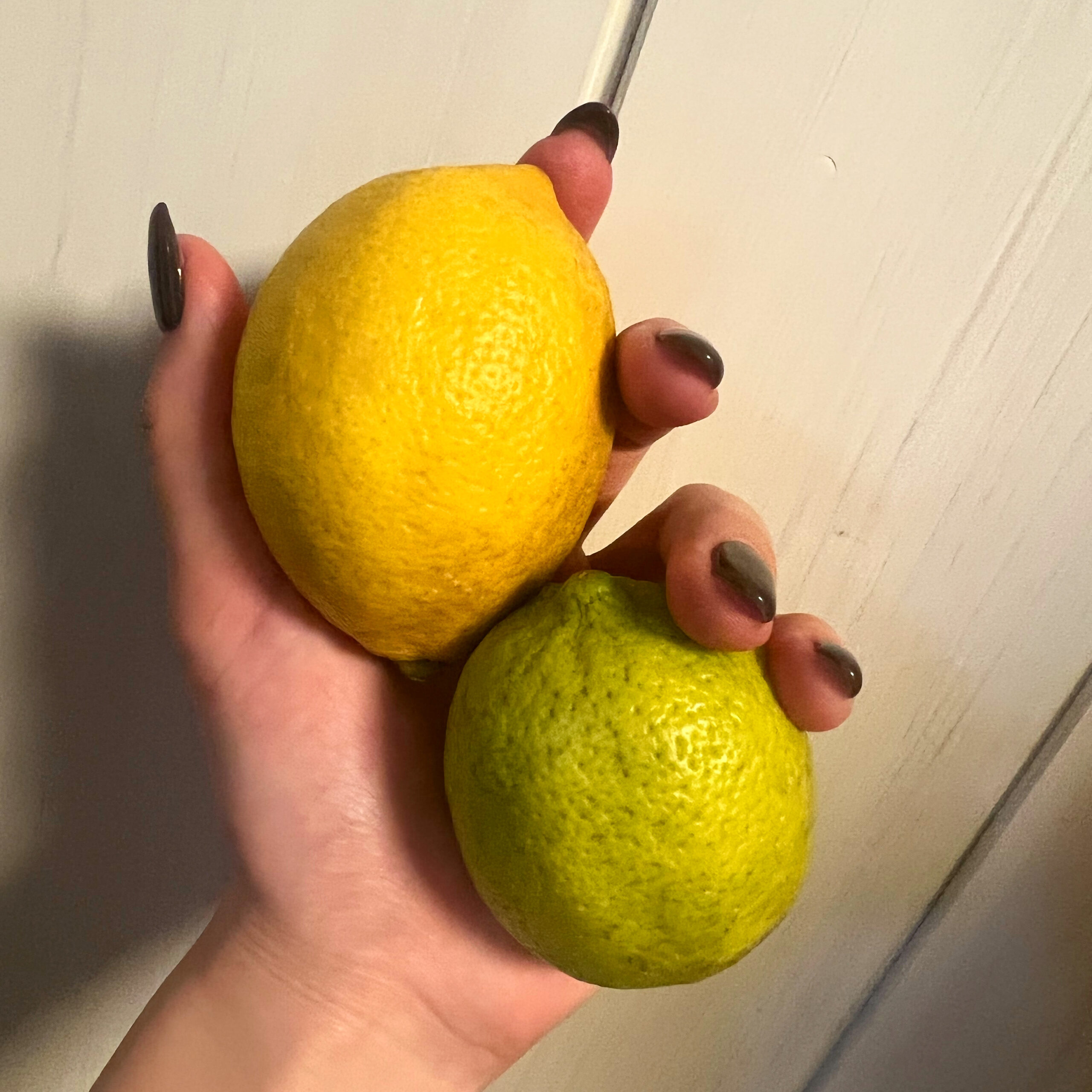 レモンの魅力３選🍋