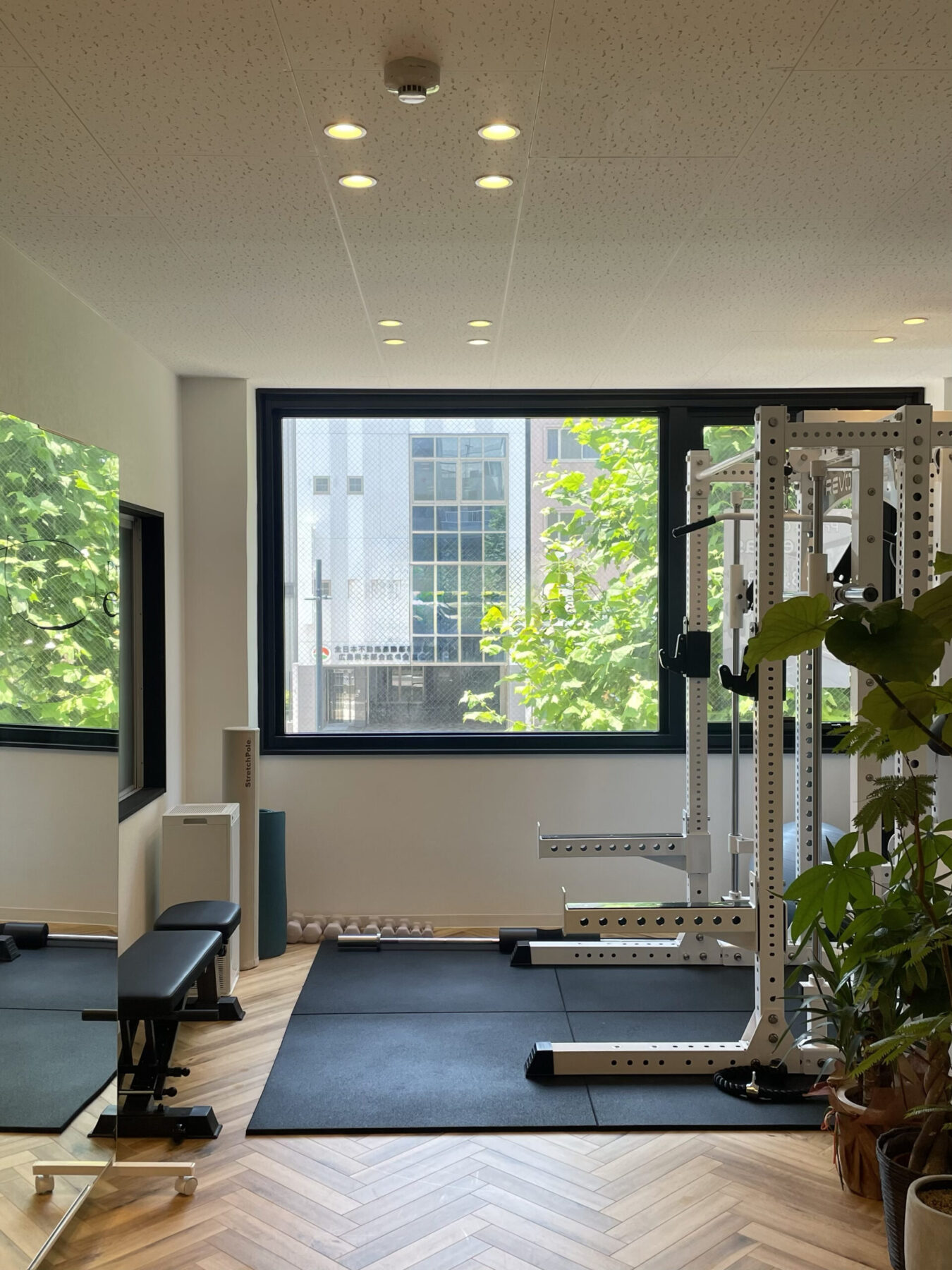 プロテインカップ