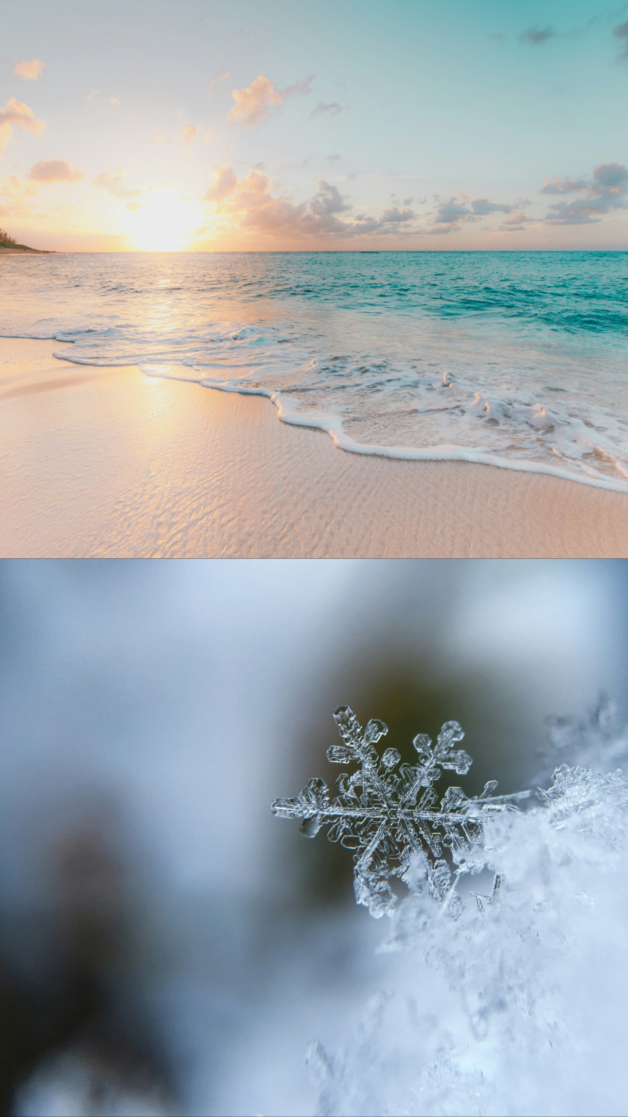 夏と冬、代謝が高いのはどっち？