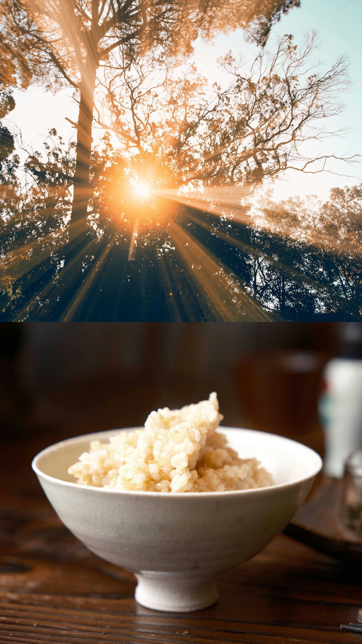 体内時計、整っていますか?